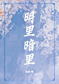 《明里暗里(1v2,兄弟盖饭)》